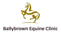 Ballybrown Equine Clinic Ltd logo