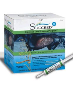 Succeed Digestive Conditioning Program