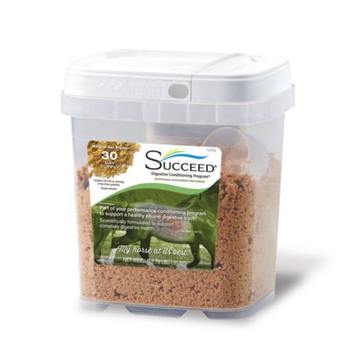 Succeed Digestive Conditioning Program - Image 2