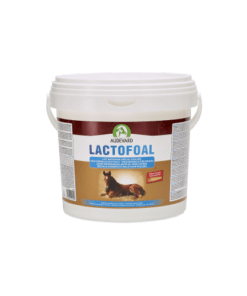 Audevard Lactofoal
