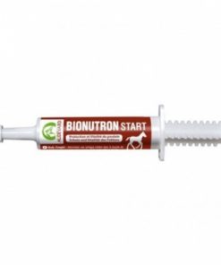 Bonutron Start