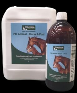 Precision Microbes - Horse & Foal