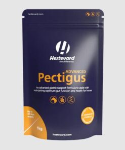 HESTEVARD EQUINE PECTIGUS ADVANCED 1KG