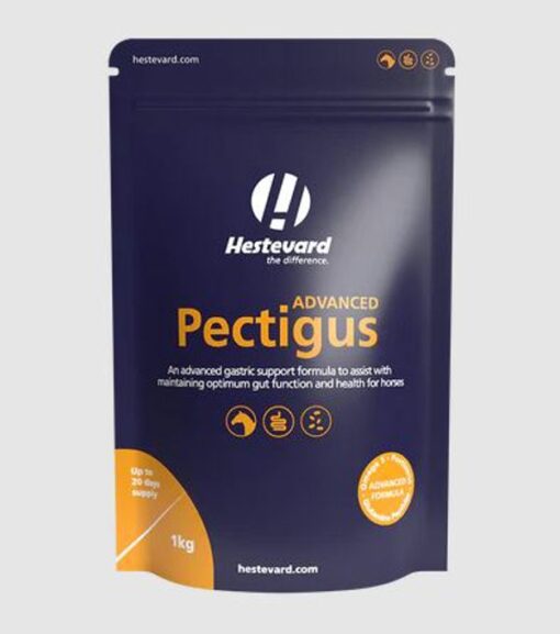 HESTEVARD EQUINE PECTIGUS ADVANCED 1KG