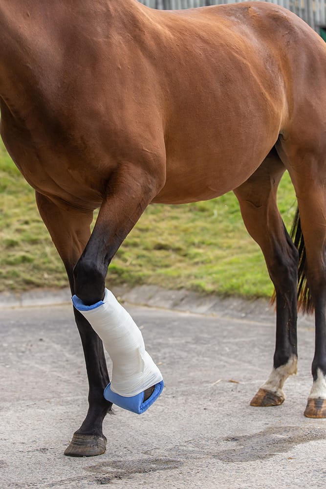 Paniolo Leg Splint - Image 4