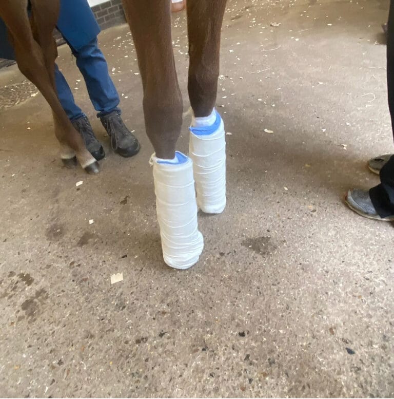 Paniolo Leg Splint - Image 3