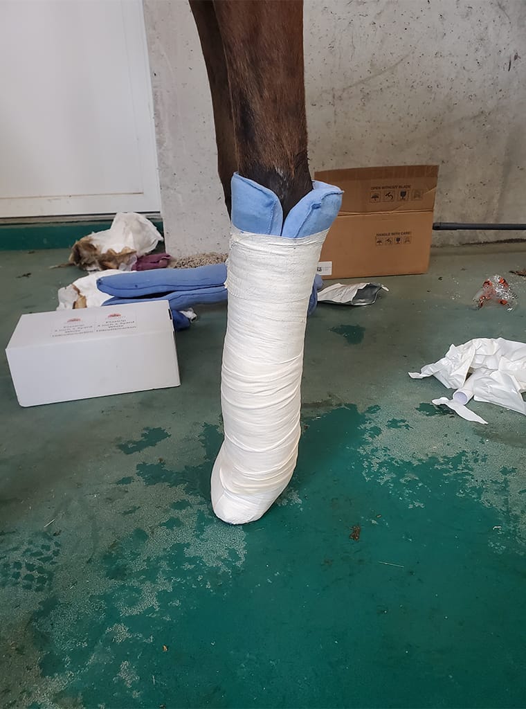 Paniolo Leg Splint - Image 2